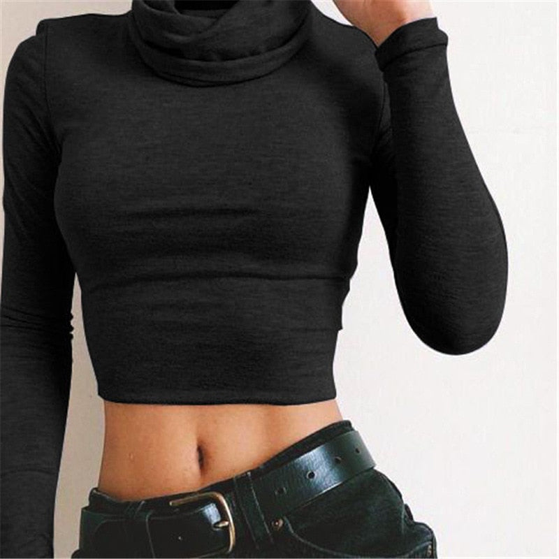 Turtle neck crop top