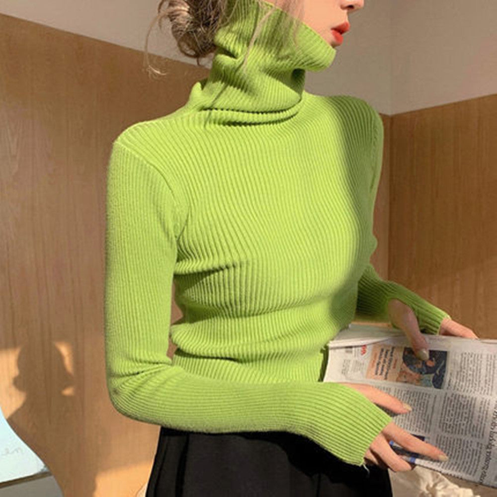 Ribbed turtleneck