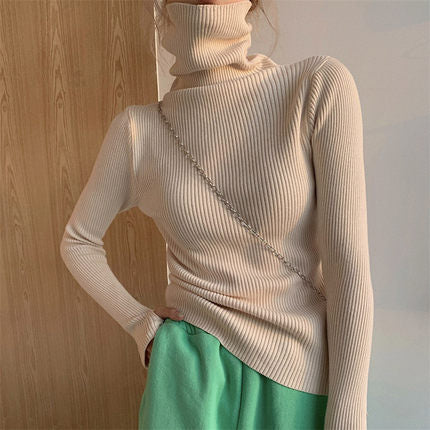 Ribbed turtleneck