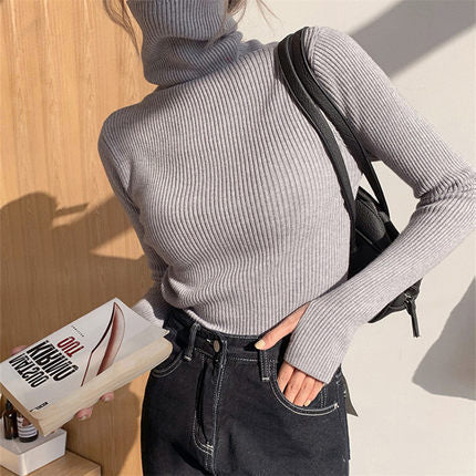 Ribbed turtleneck